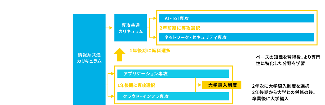 選択肢の図